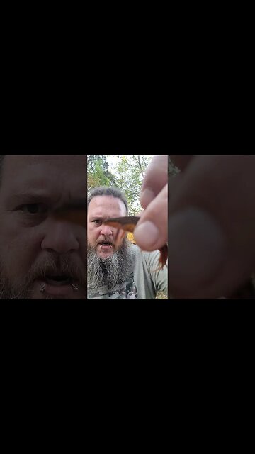 An eastern newt, I think?