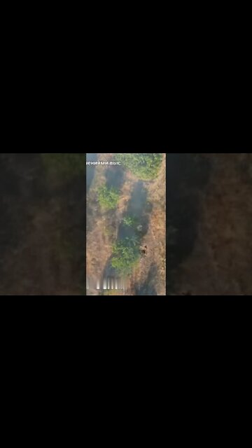 The paratroopers congratulated the militants of the Armed Forces of Ukraine