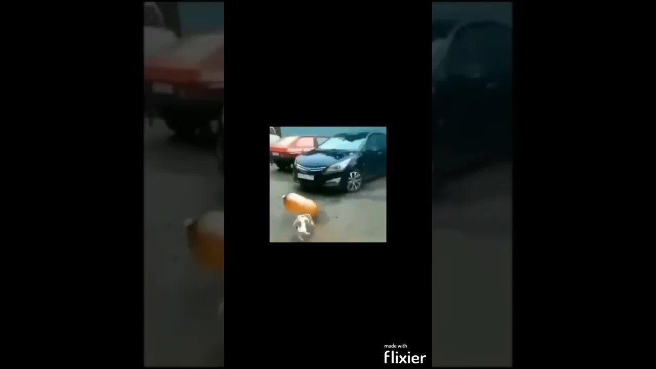 bad timing