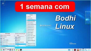 Usando Bodhi Linux por 1 semana Mesmo após instalação de programas ele continuou muito leve e rápido