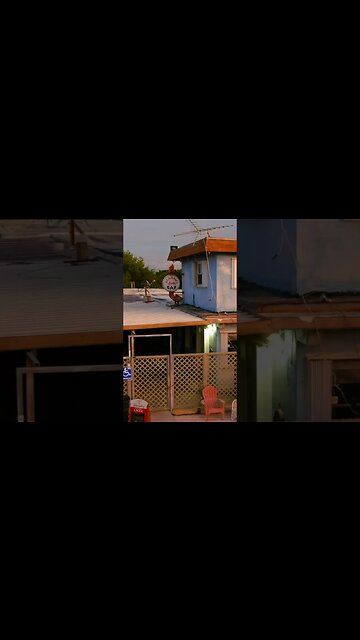 Alabama Jacks in the Florida Keys Jimmy Buffett’s Paradise 🏝️