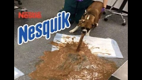 NESQUIK CHALLENGE