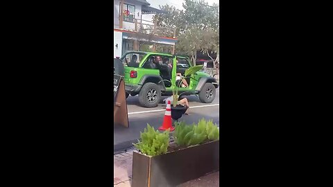best funny videos