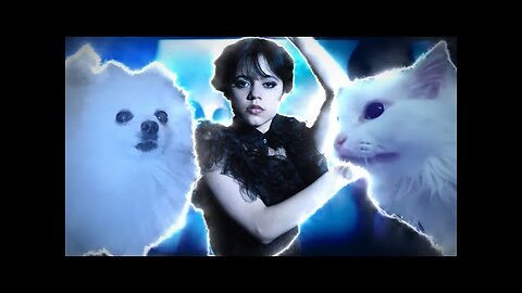 Cat MEOW & Gabe The Dog - Bloody Mary (Wednesday Dance)