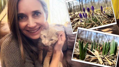 Searching for Spring | Meet Belle | VLOG