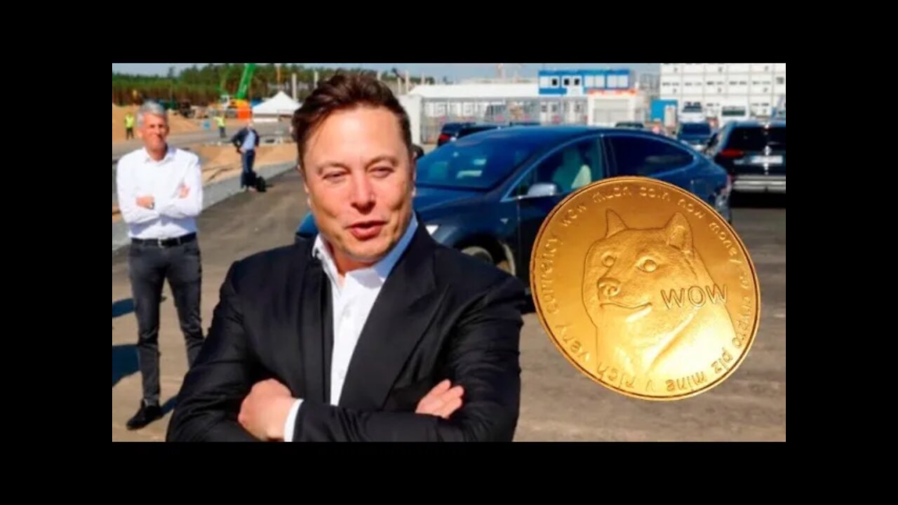 Elon Musk Signals Plan To Buy DogeCoin! 💰 Big Altcoin News 💰