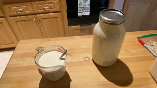 How to make sourdough pizza dough! 🍕