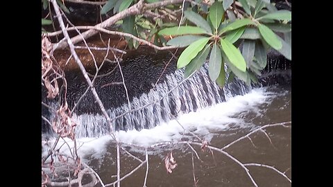 lowerwaterfall from Sandy Creek