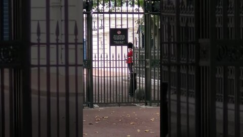 armed guards Clarence house #buckinghampalace