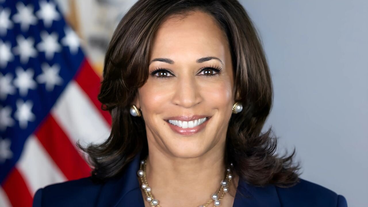 Election 2024 live updates: Kamala Harris Concedes_ What's Next