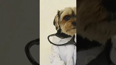 Vadivelu Comedy Shorts