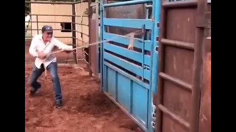 First Rodeo