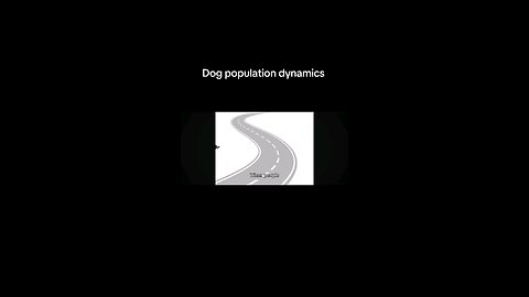 Dog Population Management