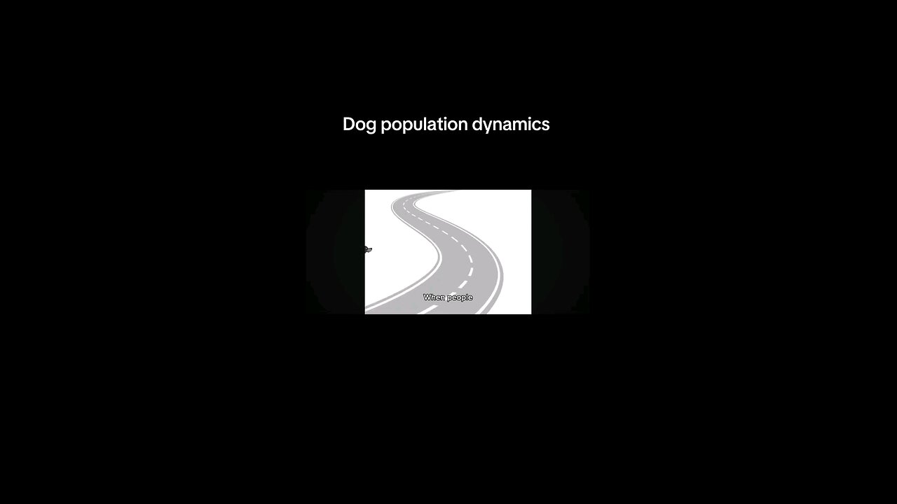 Dog Population Management