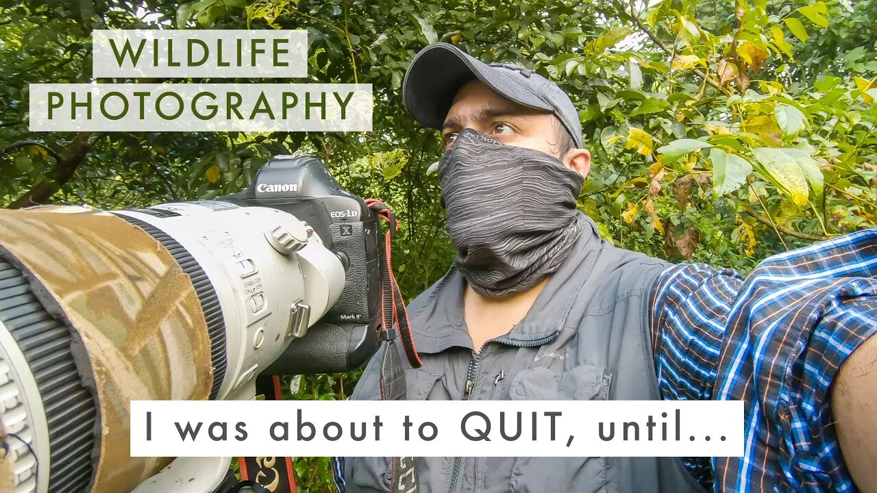 Turning FAILURE into SUCCESS | Wildlife Photography Blues + UPCOMING SERIES ANNOUNCEMENT