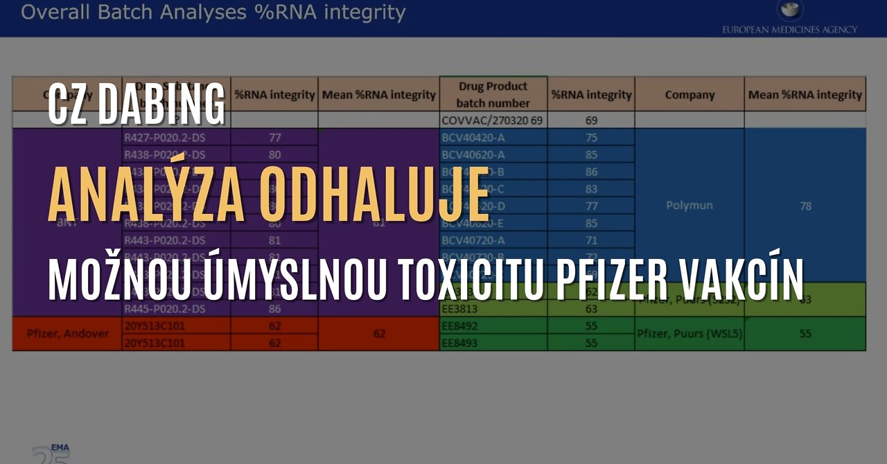 Analýza naznačuje možnou 50% toxicitu u prvně vyrobených vakcín od Pfizeru (CZ DABING)