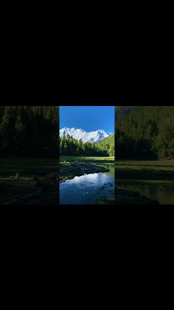 Boas Vibrações - Natureza