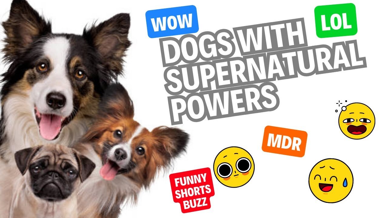 Funniest Animals Video - Funny Dogs And Cats - Try Not To Laugh Animals 2023