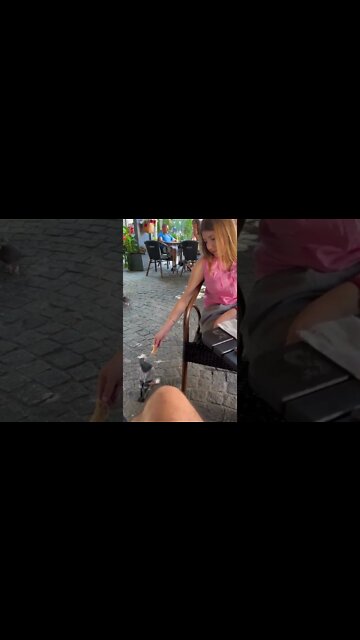 My Wife Is The Pidgeon Whisperer