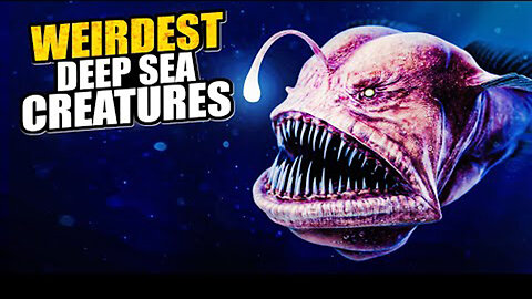 Discovering the World's Most Elusive Aquatic Creatures