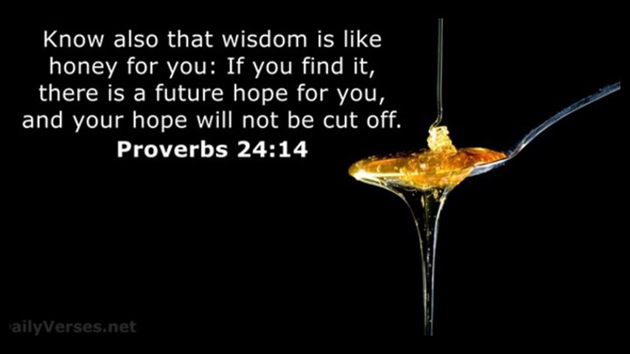 088 Proverbs 24