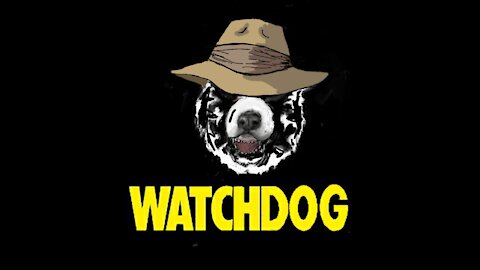 THE WATCHDOG 11/29/2021: COP26 Recap