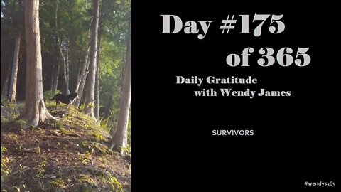 Grateful For Survivors