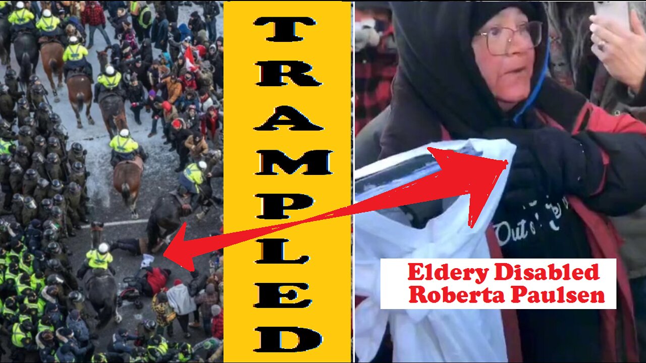 Ottawa Horse Police Trampled Patriot Elderly Disabled Woman Who Could Not Get Out Of The Way In Time..