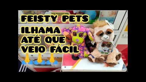 PEGANDO O FEISTY PETS ILHAMA DA MÁQUINA PREMIUM PELA MÁQUINA DE R$ 2,00 👏🍀👏