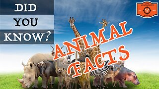 5 Stunning Animal Facts That You Won't Believe 🤔!