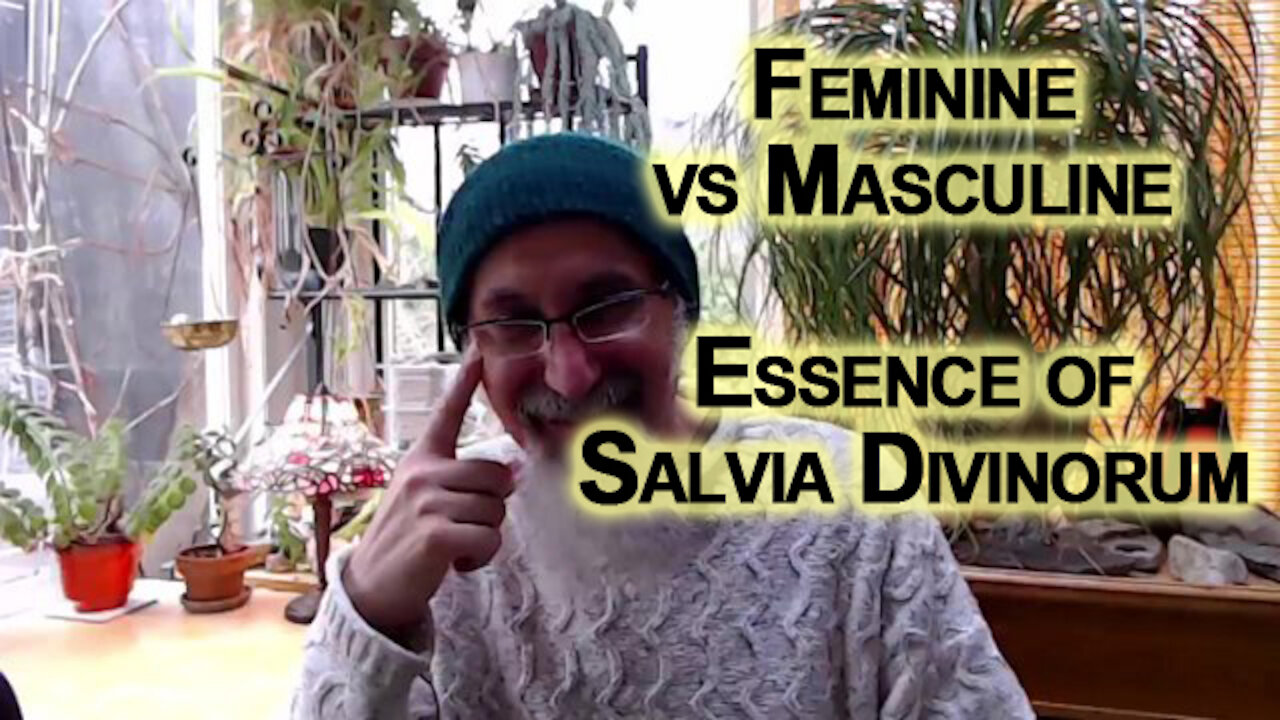 Entheogens, Feminine vs Masculine: Essence of Salvia Divinorum, How to Recognize the Energy [ASMR]