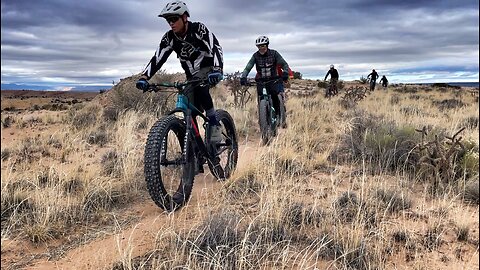 Fat Bikes On Parade