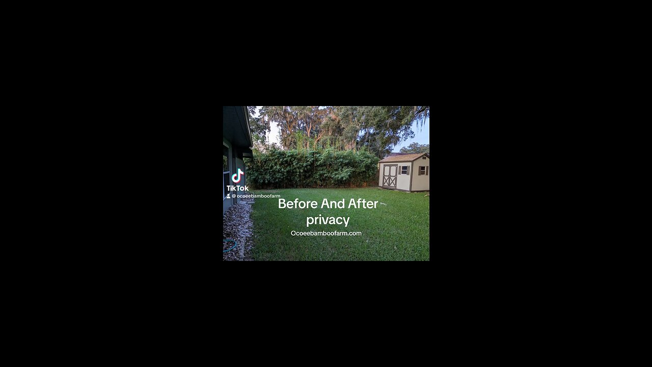 Before & After Backyard Privacy Pictures - Fast Growing Plants & Private Spaces