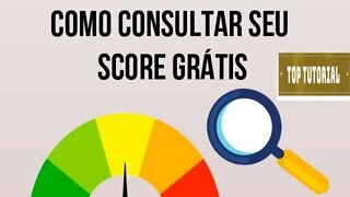 Como Ver o Score de Graça no Serasa