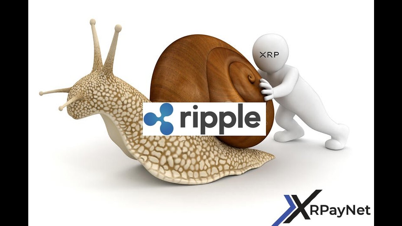 Ripple, Judge Torres, SEC & XRPayNet!