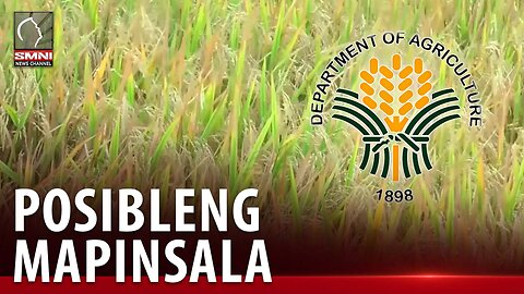 Halos 1-M ektarya ng pananim sa 7 rehiyon, posibleng mapinsala ng bagyong Egay.