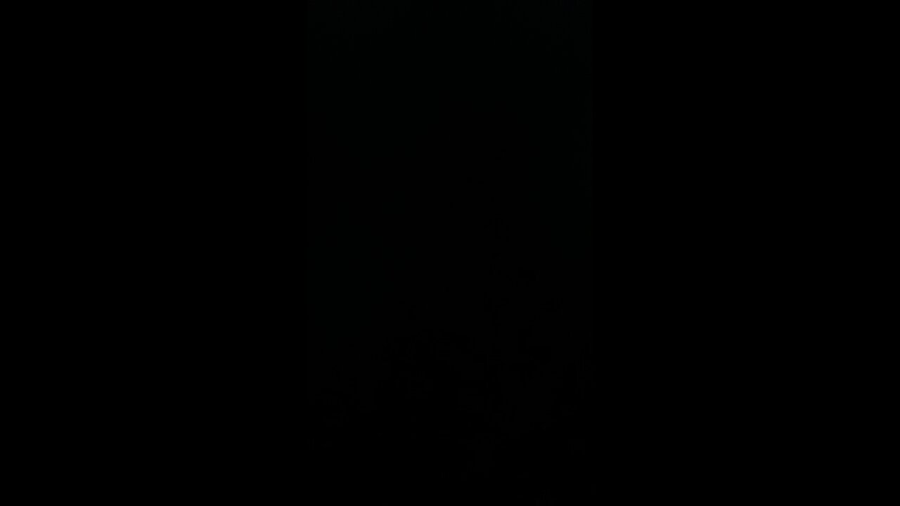 Arizona is a fighter