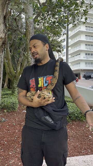 #florida #floridalife #snake #miami #fortlauderdale