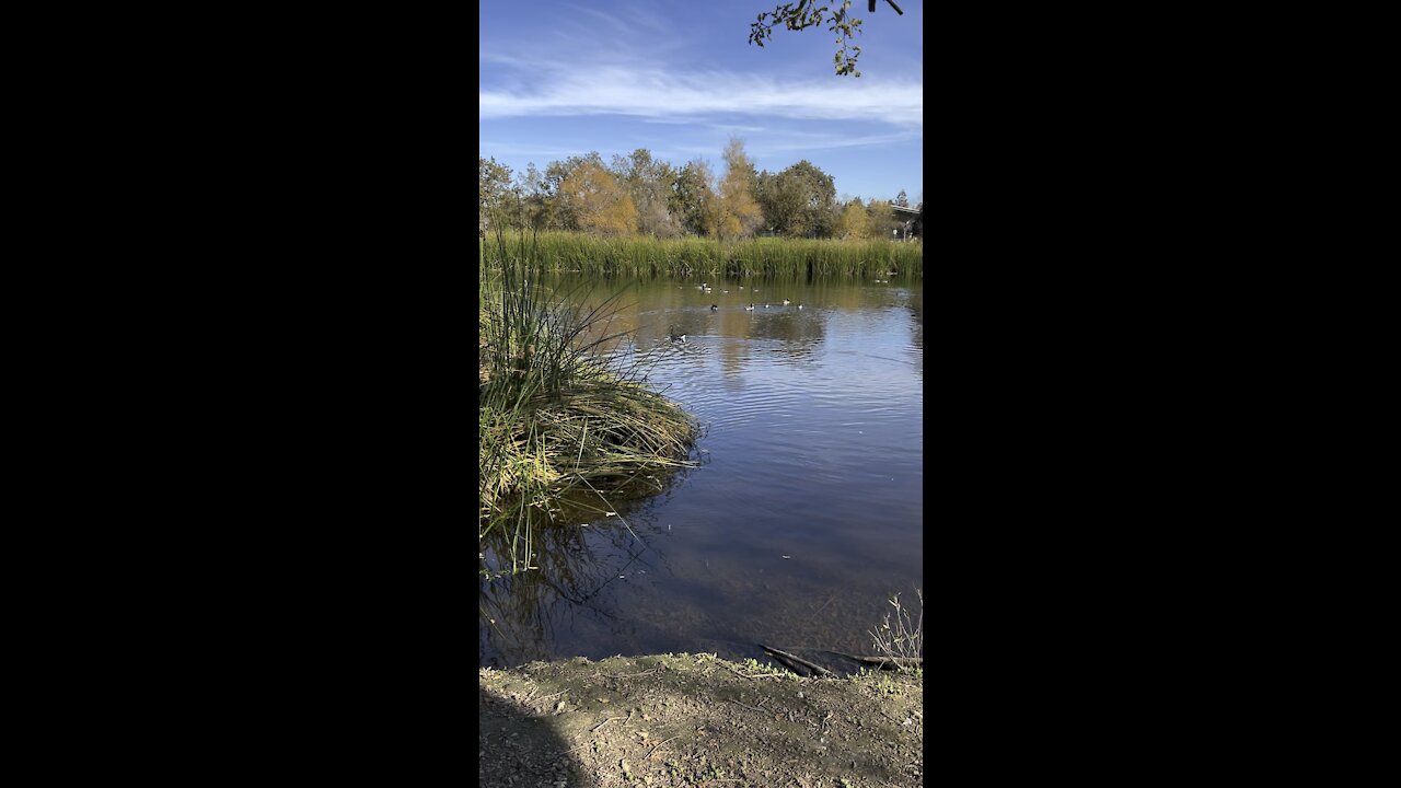 Heather Farms Pond