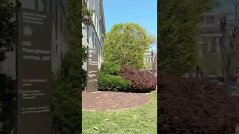4/20/22 Nancy Drew in DC-Video 3-Current Sandbag Situation Update...