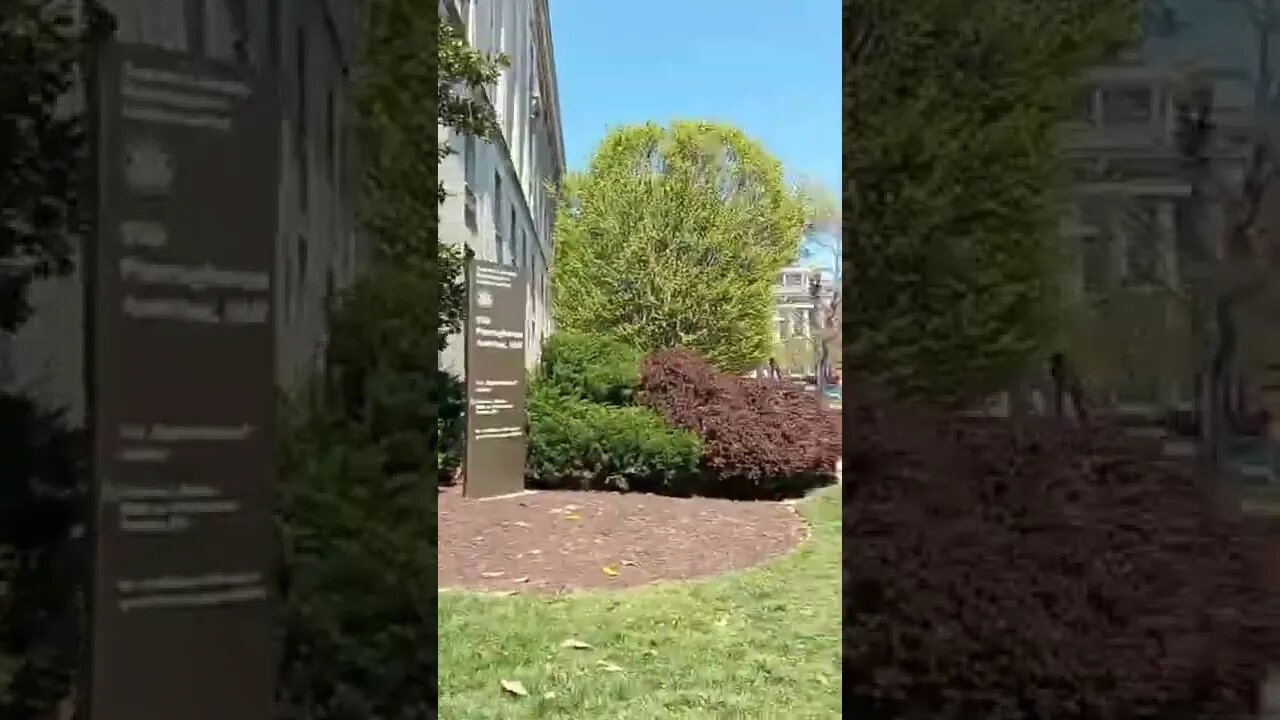 4/20/22 Nancy Drew in DC-Video 3-Current Sandbag Situation Update...