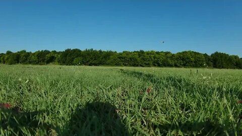 DJI FPV : EaglesAF - Training Day (HMDx04)