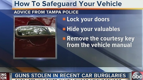 Wellswood neighborhood concerned about car burglaries, gun thefts