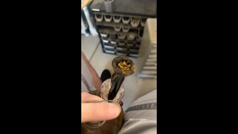 Day 49 I forgot to put up the temperature lol but it was 33 out