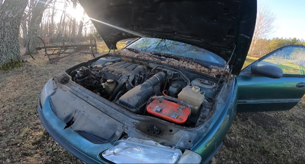 Starting Renault Laguna After 6 years!!