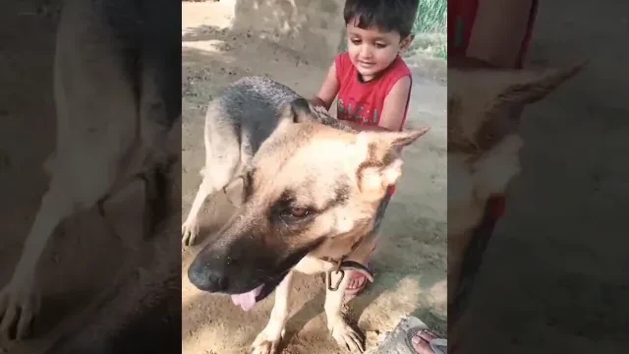 तेरी मीठी मीठी #ytshorts #rudrakrishna #dog #dogwithchild #vlog