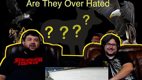 Why America's Most Hated Animal is Underrated - @mndiaye_97 | RENEGADES REACT