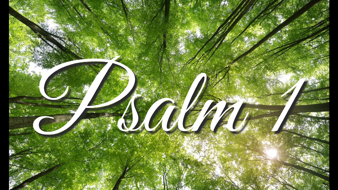 Psalm 1 | Music & Ambience