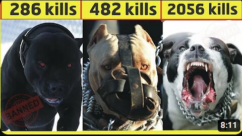 These 10 Dogs Are The Most Dangerous Dogs Breeds in the World