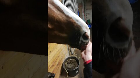 you want this... don't you?😎